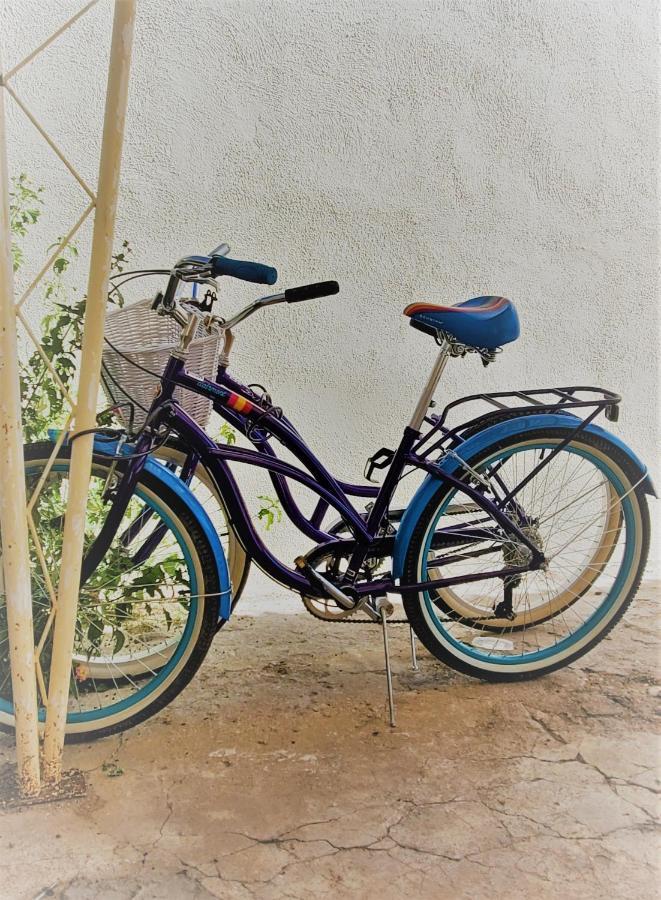2 Bike 2Br Casita Near Uofa, Tmc, Central Tucson, Eksteriør billede